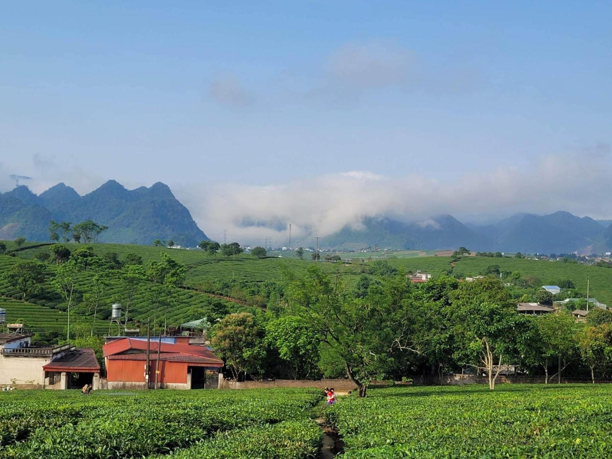 Mum Homestay Moc Chau Zewnętrze zdjęcie