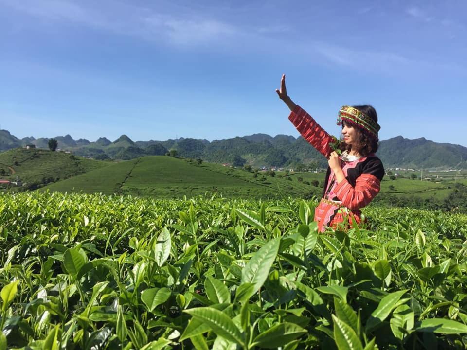 Mum Homestay Moc Chau Zewnętrze zdjęcie