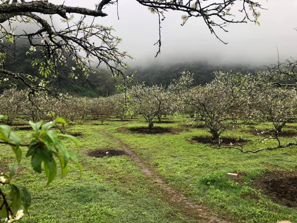 Mum Homestay Moc Chau Zewnętrze zdjęcie